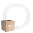 Fordelspakning 4x Ledvance LED Lysrør T9 Value Rund (EM/Mains) 11W 1320lm - 840 kald hvit | erstatter 22W