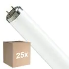Fordelspakning 25x Philips T8 Flexo print 40W | 60cm - UVA